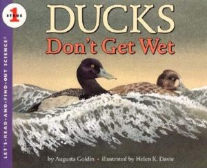 Ducks Don't Get Wet [Paperback] Goldin, Augusta and Davie, Helen K.