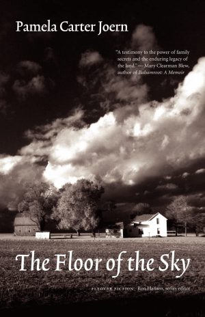 The Floor of the Sky (Flyover Fiction) [Paperback] Joern, Pamela Carter