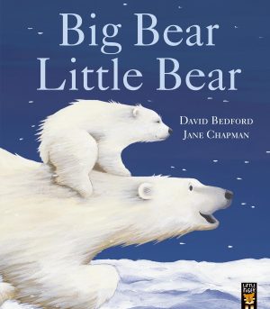 Big Bear Little Bear [Paperback] Bedford, David and Chapman, Jane