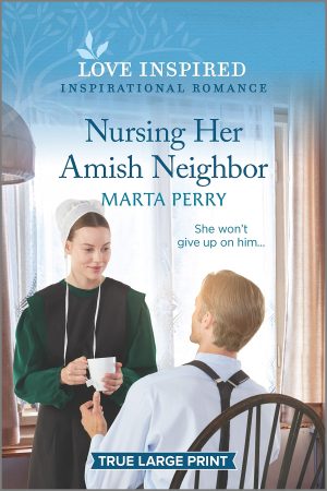Nursing Her Amish Neighbor (Brides of Lost Creek, 6) Perry, Marta