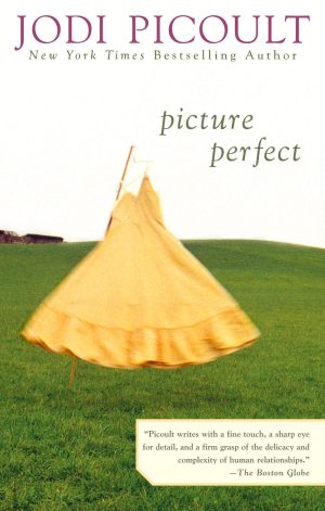 Picture Perfect [Paperback] Picoult, Jodi