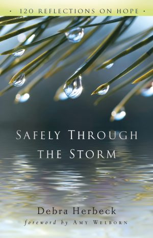 Safely Through the Storm: 120 Reflections on Hope (New Edition) [Paperback] Debra Herbeck