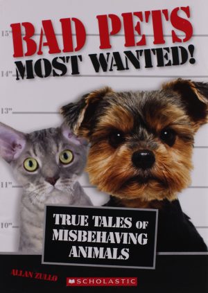 Bad Pets Most Wanted! True Tales of Misbehaving Animals [Paperback] Zullo, Allan
