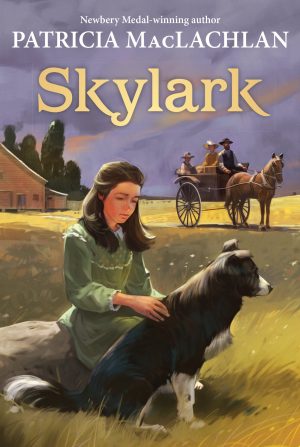 Skylark (Sequel to "Sarah, Plain and Tall") Harper Trophy [Paperback] MacLachlan, Patricia