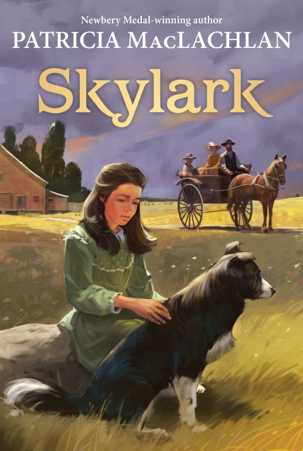 Skylark (Sequel to "Sarah, Plain and Tall") Harper Trophy [Paperback] MacLachlan, Patricia