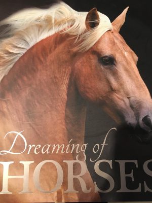 Dreaming of Horses [Paperback] Nicole Jane Swinney
