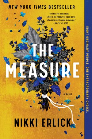 The Measure: A Novel [Paperback] Erlick, Nikki