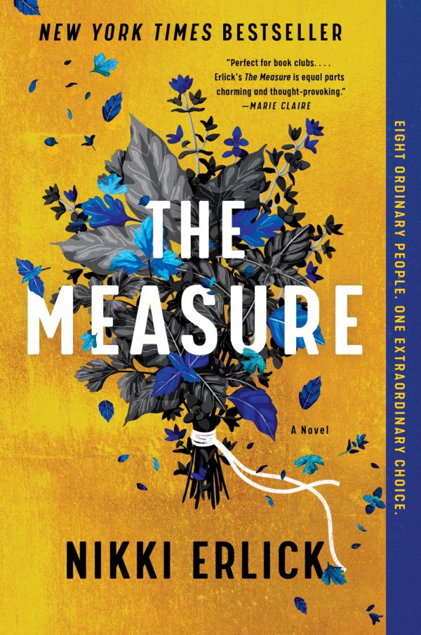 The Measure: A Novel [Paperback] Erlick, Nikki