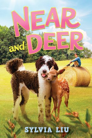 Near and Deer [Paperback] Liu, Sylvia