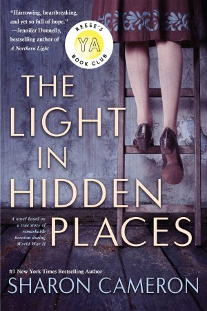 The Light in Hidden Places [Paperback] Cameron, Sharon