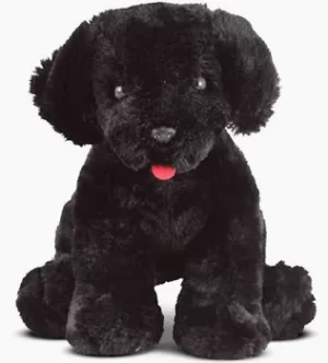 Benson Black Lab