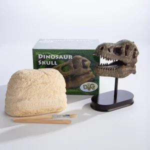 Dinosaur Skull Excavation Dig Kit