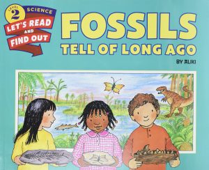 Fossils Tell of Long Ago (Let's-Read-and-Find-Out Science 2) [Paperback] Aliki