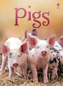 Pigs - IR [Hardcover] James MacLaine