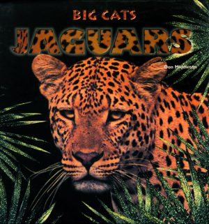 Jaguars (Big Cats) [Library Binding] Middleton, Don