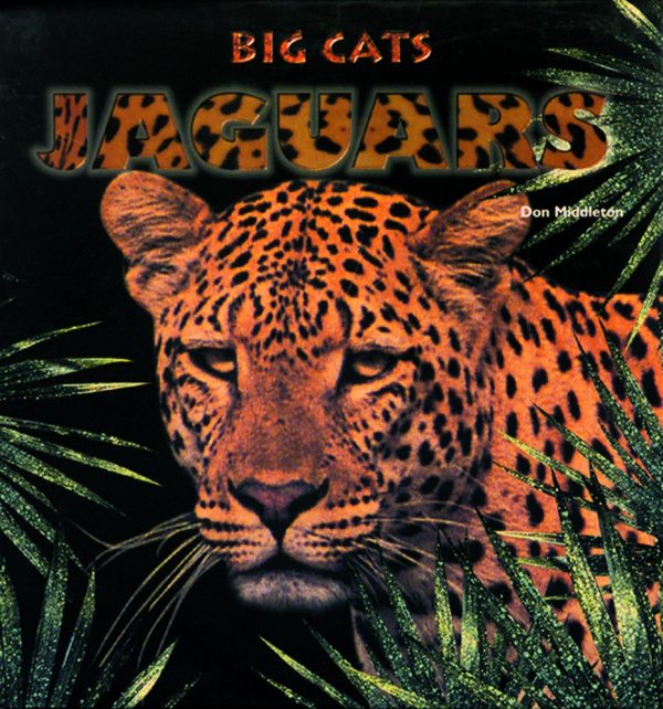 Jaguars (Big Cats) [Library Binding] Middleton, Don