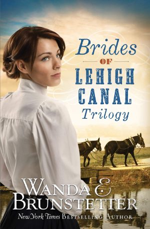 Brides of Lehigh Canal Trilogy [Paperback] Brunstetter, Wanda E.