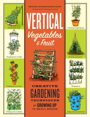 Vertical Vegetables & Fruit: Creative Gardening Techniques for Growing Up in Small Spaces Hart, Rhonda Massingham