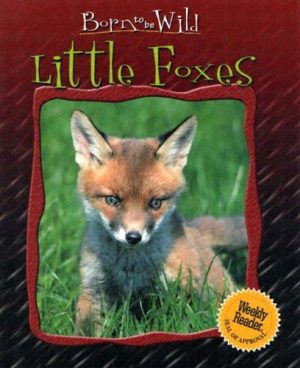 Little Foxes (Born to Be Wild) Chottin, Ariane