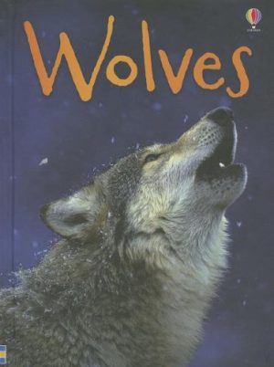 Wolves (Usborne Beginners) [Hardcover] Kimberley Scott James MacLaine John Francis