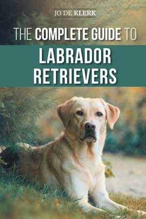 The Complete Guide to Labrador Retrievers: Selecting, Raising, Training, Feeding, and Loving Your New Lab from Puppy to Old-Age [Paperback] de Klerk, Dr. Joanna