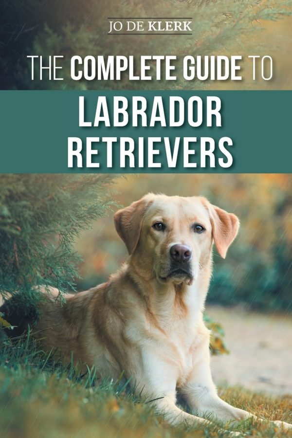 The Complete Guide to Labrador Retrievers: Selecting, Raising, Training, Feeding, and Loving Your New Lab from Puppy to Old-Age [Paperback] de Klerk, Dr. Joanna