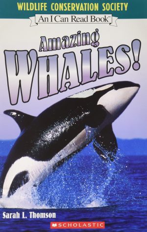 AMAZING WHALES SARAHL.THOMPSON