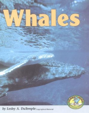 Whales (Early Bird Nature Books) Dutemple, Lesley A.