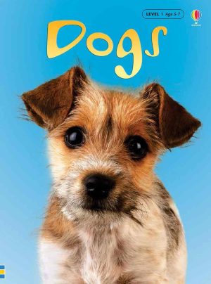 Dogs (Usborne Beginners: Information For Young Readers: Level 1) [Hardcover] Helbrough, Emma; Donaera, Patrizia and Mayer, Uwe