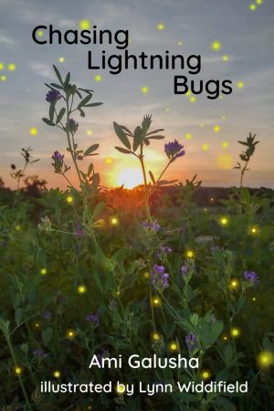 Chasing Lightning Bugs [Paperback] Galusha, Ami and Widdifield LIMHP, Lynn Flint