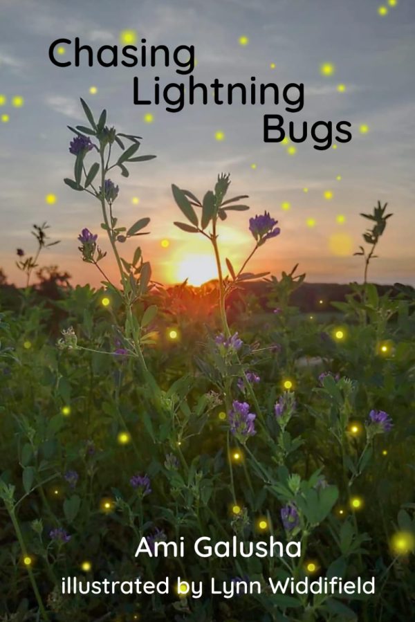 Chasing Lightning Bugs [Paperback] Galusha, Ami and Widdifield LIMHP, Lynn Flint
