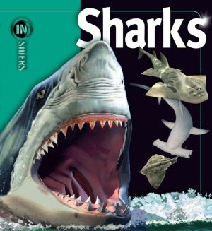 Sharks (Insiders) [Hardcover] McMillan, Beverly and Musick, John A.