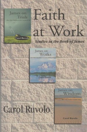 Faith at Work: Three Studies in the Book of James [Paperback] Ruvolo, Carol