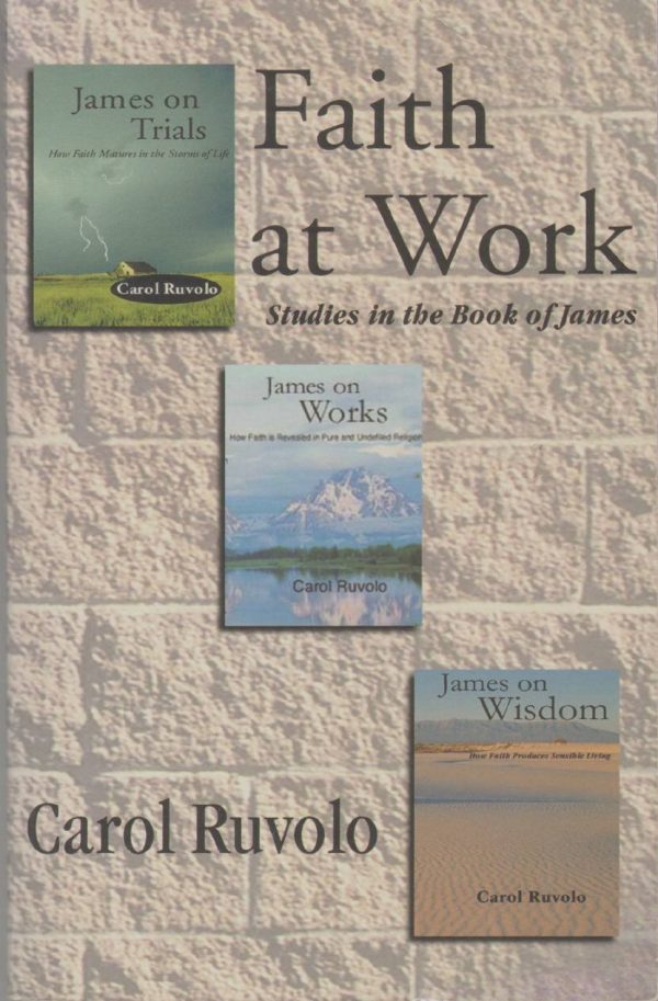 Faith at Work: Three Studies in the Book of James [Paperback] Ruvolo, Carol