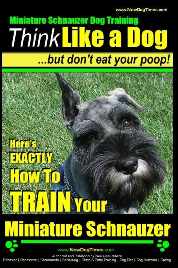 Miniature Schnauzer Dog Training | Think Like a Dog But Don't Eat Your Poop! |: Here's EXACTLY How To Train Your Miniature Schnauzer [Paperback] Pearce, Mr Paul Allen