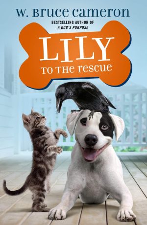 Lily to the Rescue (Lily to the Rescue!, 1) [Paperback] Cameron, W. Bruce and Meyer, Jennifer L.