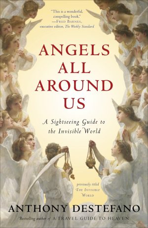Angels All Around Us: A Sightseeing Guide to the Invisible World [Paperback] DeStefano, Anthony