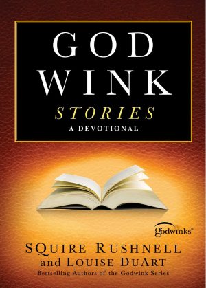 Godwink Stories: A Devotional (3) (The Godwink Series) [Paperback] Rushnell, SQuire