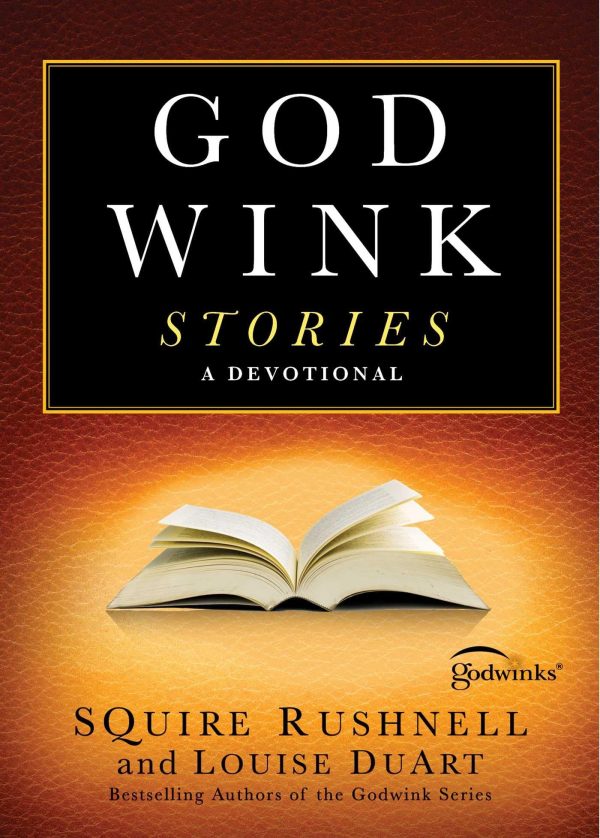 Godwink Stories: A Devotional (3) (The Godwink Series) [Paperback] Rushnell, SQuire