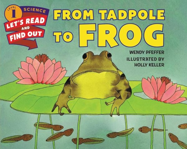 From Tadpole to Frog (Let's-Read-and-Find-Out Science 1) [Paperback] Pfeffer, Wendy and Keller, Holly