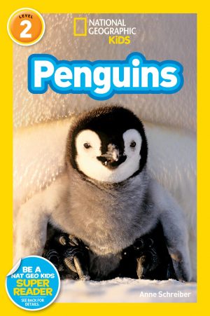 Penguins (National Geographic Kids Readers, Level 2) [Paperback] Schreiber, Anne