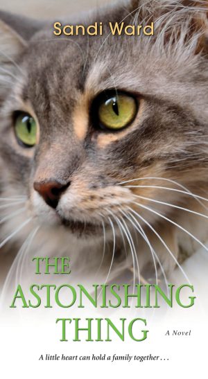 The Astonishing Thing [Mass Market Paperback] Ward, Sandi