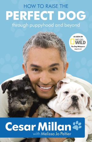 How to Raise the Perfect Dog [Paperback] Cesar Millan