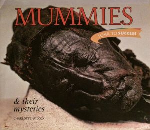 Mummies & Mysteries Level 6: Houghton Mifflin Soar to Success (Read Soar to Success 1999) [Paperback] Read