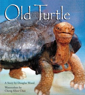 Old Turtle (Lessons of Old Turtle) [Hardcover] Wood, Douglas and Chee, Cheng-Khee