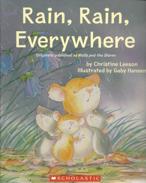 Rain, Rain, Everywhere [Paperback] Christine Leeson and Gaby Hansen