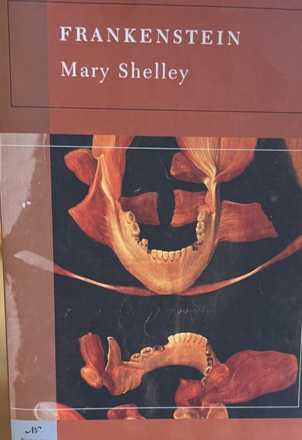 Frankenstein Mary Shelley