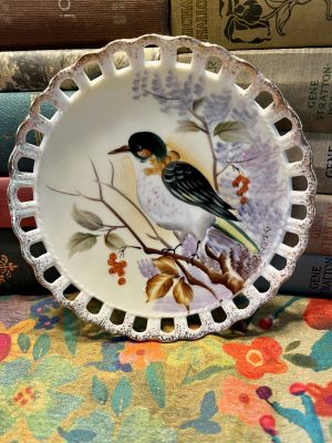 Gorgeous Ribboned Porcelain Plate with Bird (S806) ~ 50% off with vintage coupon