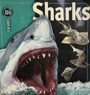Sharks (Insiders (Simon and Schuster)) {Paperback}