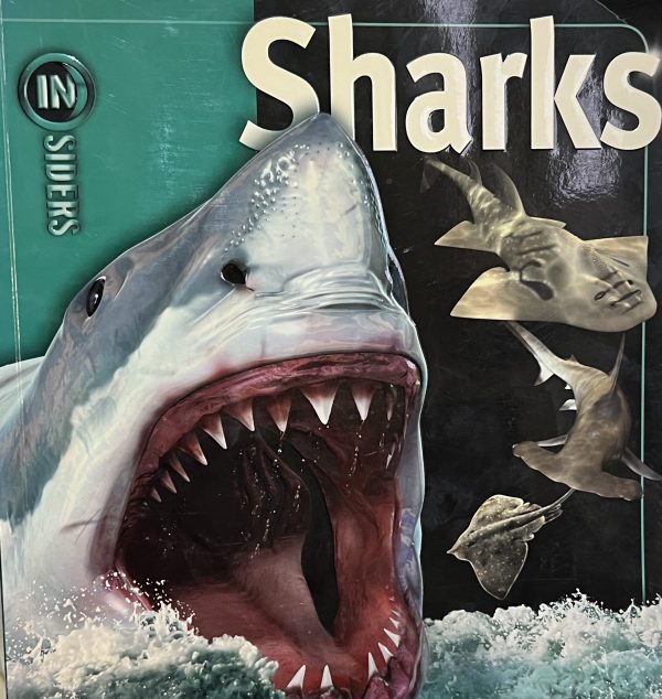 Sharks (Insiders (Simon and Schuster)) {Paperback}